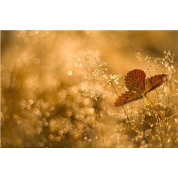 Трава - Фотообои цветы|другие - Модульная картины, Репродукции, Декоративные панно, Декор стен