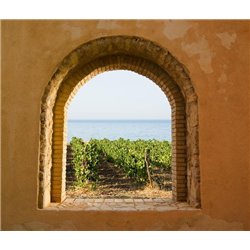 Вид на море и виноградник - Фотообои Море|побережье - Модульная картины, Репродукции, Декоративные панно, Декор стен