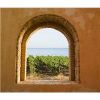 Портреты картины репродукции на заказ - Вид на море и виноградник - Фотообои Море|побережье