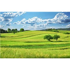 Картина на холсте по фото Модульные картины Печать портретов на холсте Поля и облака - Фотообои природа|поля