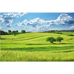 Поля и облака - Фотообои природа|поля - Модульная картины, Репродукции, Декоративные панно, Декор стен