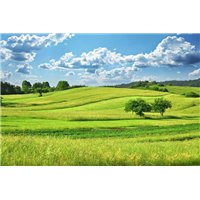 Портреты картины репродукции на заказ - Поля и облака - Фотообои природа|поля