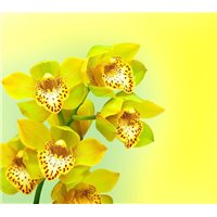 Портреты картины репродукции на заказ - Цветущая веточка - Фотообои цветы|цветущие деревья