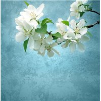 Портреты картины репродукции на заказ - Веточка - Фотообои цветы|цветущие деревья
