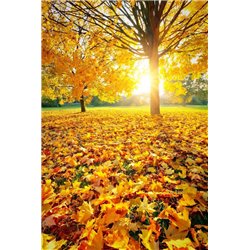 Осень - Фотообои природа|осень - Модульная картины, Репродукции, Декоративные панно, Декор стен