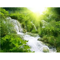 Водопад в зеленом лесу - Фотообои водопады