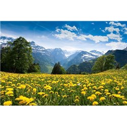 Одуванчики и горы - Фотообои горы - Модульная картины, Репродукции, Декоративные панно, Декор стен