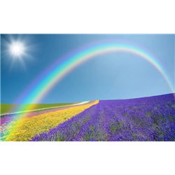 Радуга над полем - Фотообои природа|поля - Модульная картины, Репродукции, Декоративные панно, Декор стен