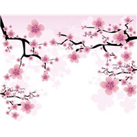 Ветви - Фотообои цветы|цветущие деревья