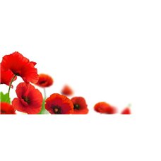 Картина на холсте по фото Модульные картины Печать портретов на холсте Красные маки - Фотообои цветы|маки