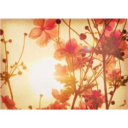 Арт-цветы - Фотообои цветы - Модульная картины, Репродукции, Декоративные панно, Декор стен