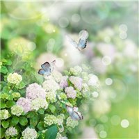 Портреты картины репродукции на заказ - Снежные шары летом - Фотообои цветы|цветущие деревья