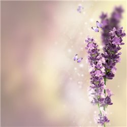 Лавандовые настроения - Фотообои цветы|лаванды - Модульная картины, Репродукции, Декоративные панно, Декор стен