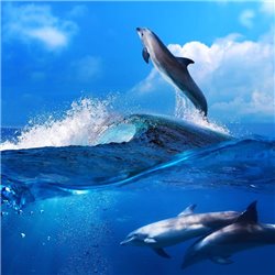 Дельфины - Фотообои Животные|морской мир - Модульная картины, Репродукции, Декоративные панно, Декор стен