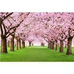 Парк - Фотообои природа|деревья и травы - Модульная картины, Репродукции, Декоративные панно, Декор стен