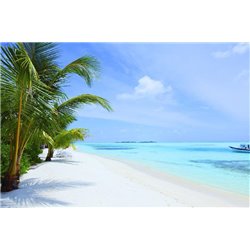 Пальмы на песочном берегу - Фотообои Море|пляж - Модульная картины, Репродукции, Декоративные панно, Декор стен