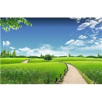 Портреты картины репродукции на заказ - Зеленый луг - Фотообои Расширяющие пространство