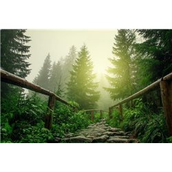 Лесная дорога - Фотообои природа|деревья и травы - Модульная картины, Репродукции, Декоративные панно, Декор стен