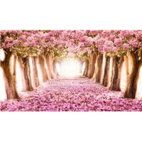 Розовый цвет - Фотообои природа|дороги