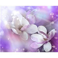 Портреты картины репродукции на заказ - Цветы - Фотообои цветы|другие