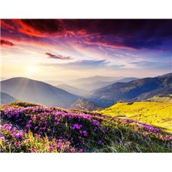 Полевые цветы на склонах - Фотообои горы - Модульная картины, Репродукции, Декоративные панно, Декор стен