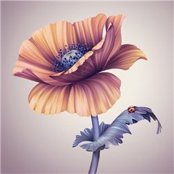 Божья коровка на цветке - Фотообои цветы|другие - Модульная картины, Репродукции, Декоративные панно, Декор стен