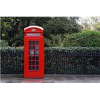 Портреты картины репродукции на заказ - Красная телефонная будка - Фотообои природа|деревья и травы