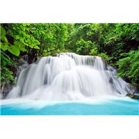 Портреты картины репродукции на заказ - Водопад в лесу - Фотообои водопады