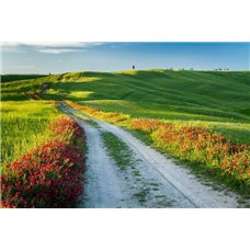 Картина на холсте по фото Модульные картины Печать портретов на холсте Дорога в поле - Фотообои природа|дороги