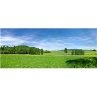 Портреты картины репродукции на заказ - Зеленое поле - Фотообои природа|поля