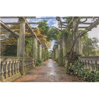 Портреты картины репродукции на заказ - Старый сад - Фотообои терраса
