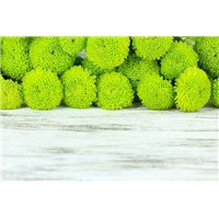 Портреты картины репродукции на заказ - Зеленые хризантемы - Фотообои цветы|другие