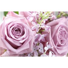 Картина на холсте по фото Модульные картины Печать портретов на холсте Весенние цветы - Фотообои цветы|сирень