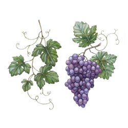 Виноград - Фотообои Еда и напитки - Модульная картины, Репродукции, Декоративные панно, Декор стен