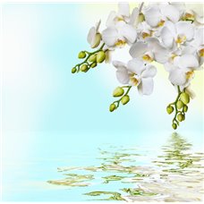 Картина на холсте по фото Модульные картины Печать портретов на холсте Белая орхидея - Фотообои цветы|орхидеи