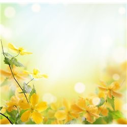 Желтые цветочки - Фотообои цветы|полевые - Модульная картины, Репродукции, Декоративные панно, Декор стен