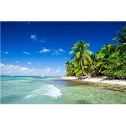Пальмы на берегу - Фотообои Море - Модульная картины, Репродукции, Декоративные панно, Декор стен