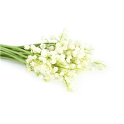 Букет ландышей - Фотообои цветы|ландыши - Модульная картины, Репродукции, Декоративные панно, Декор стен