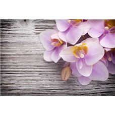 Картина на холсте по фото Модульные картины Печать портретов на холсте Цветочные мотивы - Фотообои цветы