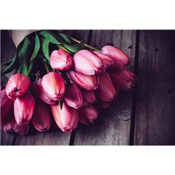 Букет тюльпанов - Фотообои цветы|тюльпаны - Модульная картины, Репродукции, Декоративные панно, Декор стен