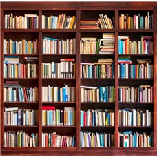 Картина на холсте по фото Модульные картины Печать портретов на холсте Книжный шкаф - Фотообои на двери
