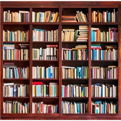Книжный шкаф - Фотообои на двери - Модульная картины, Репродукции, Декоративные панно, Декор стен