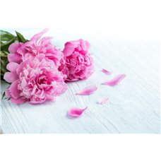 Картина на холсте по фото Модульные картины Печать портретов на холсте Розовый букет - Фотообои цветы|пионы