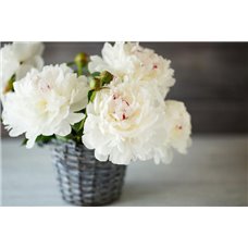 Картина на холсте по фото Модульные картины Печать портретов на холсте Белый букет бионов - Фотообои цветы|пионы