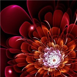 Красный огненный цветок - 3D фотообои|3D цветы - Модульная картины, Репродукции, Декоративные панно, Декор стен