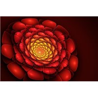 Портреты картины репродукции на заказ - Красный 3д цветок - 3D фотообои|3D цветы