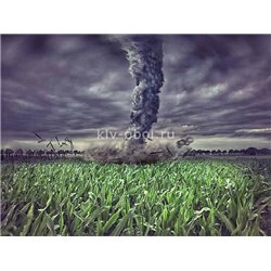 Ураган - Фотообои природа|поля - Модульная картины, Репродукции, Декоративные панно, Декор стен