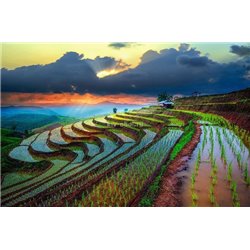 Рисовые поля - Фотообои терраса - Модульная картины, Репродукции, Декоративные панно, Декор стен
