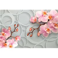 Портреты картины репродукции на заказ - 3D орхидеи - 3D фотообои|3D цветы
