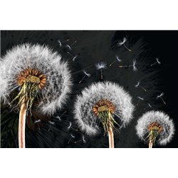 Большие одуваны - Фотообои цветы|одуванчик - Модульная картины, Репродукции, Декоративные панно, Декор стен